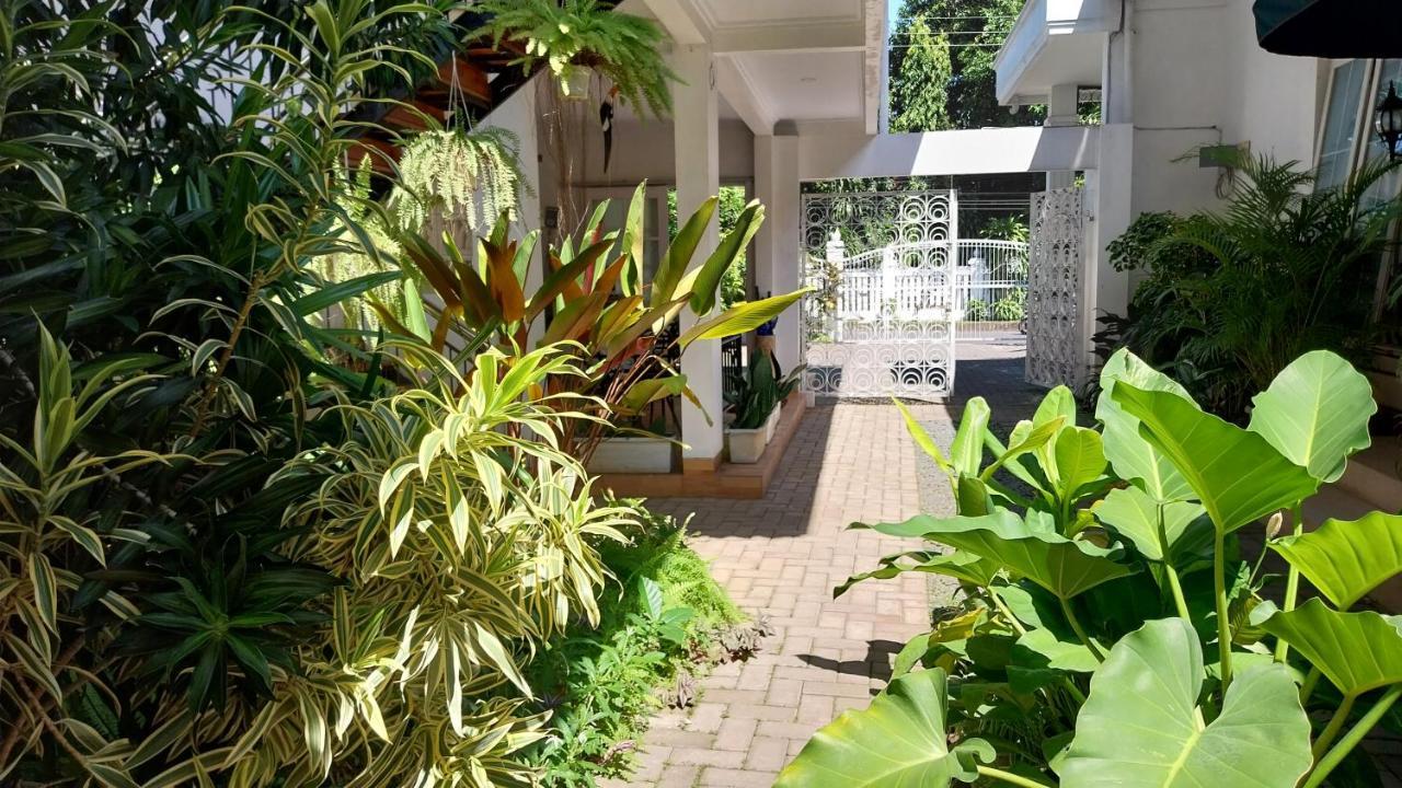 Surokarsan 9 House Yogyakarta Hotel ภายนอก รูปภาพ
